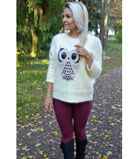 Owl-eded sweater